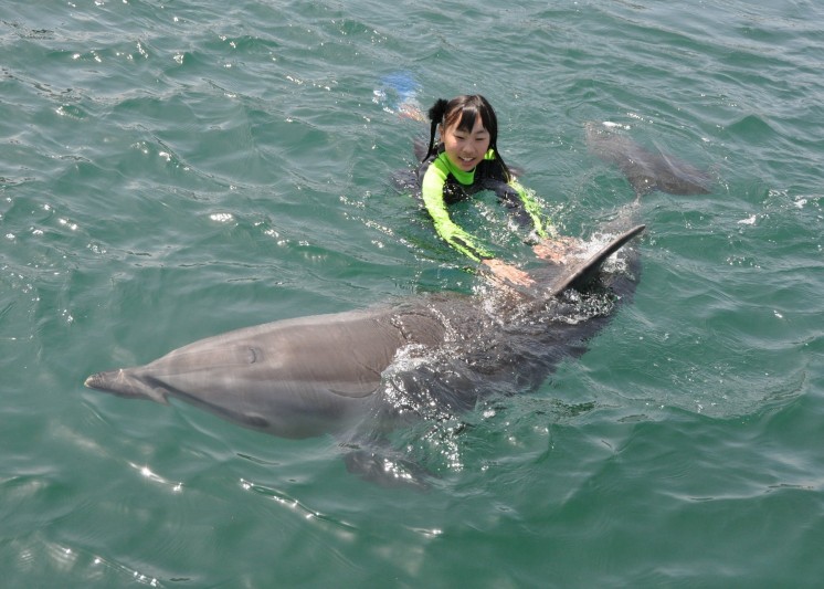 【ドルフィンセンター】イルカと一緒に遊泳