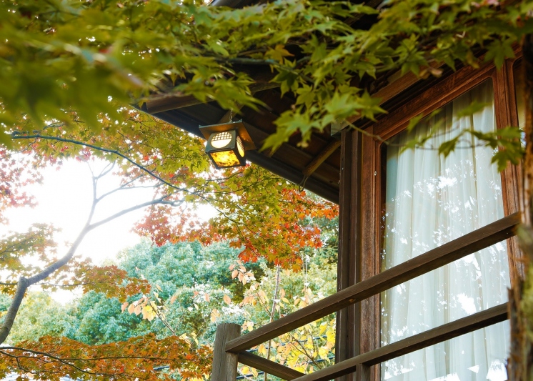 秋色に染まりゆく庭園と調和する数寄屋造り離れ